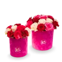 Květinový box růží